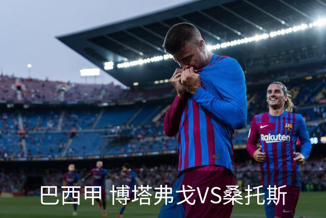 巴西甲 博塔弗戈VS桑托斯