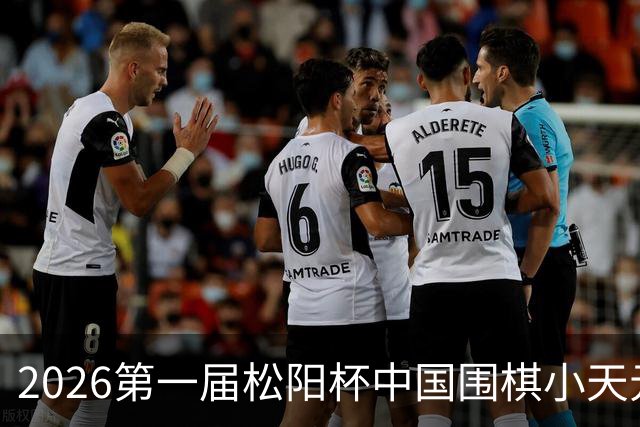 2026第一届松阳杯中国围棋小天元赛补充通知